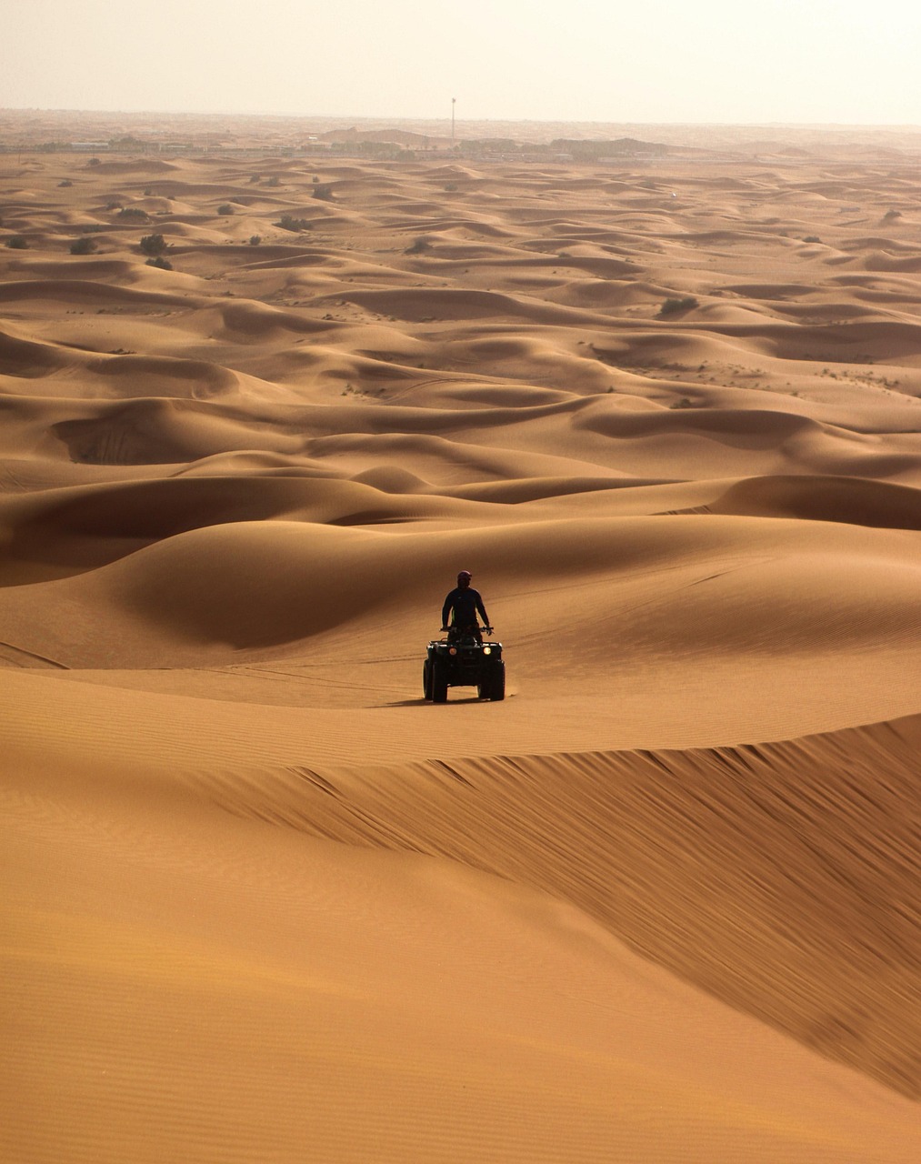 Desert Safari & Evening Camp