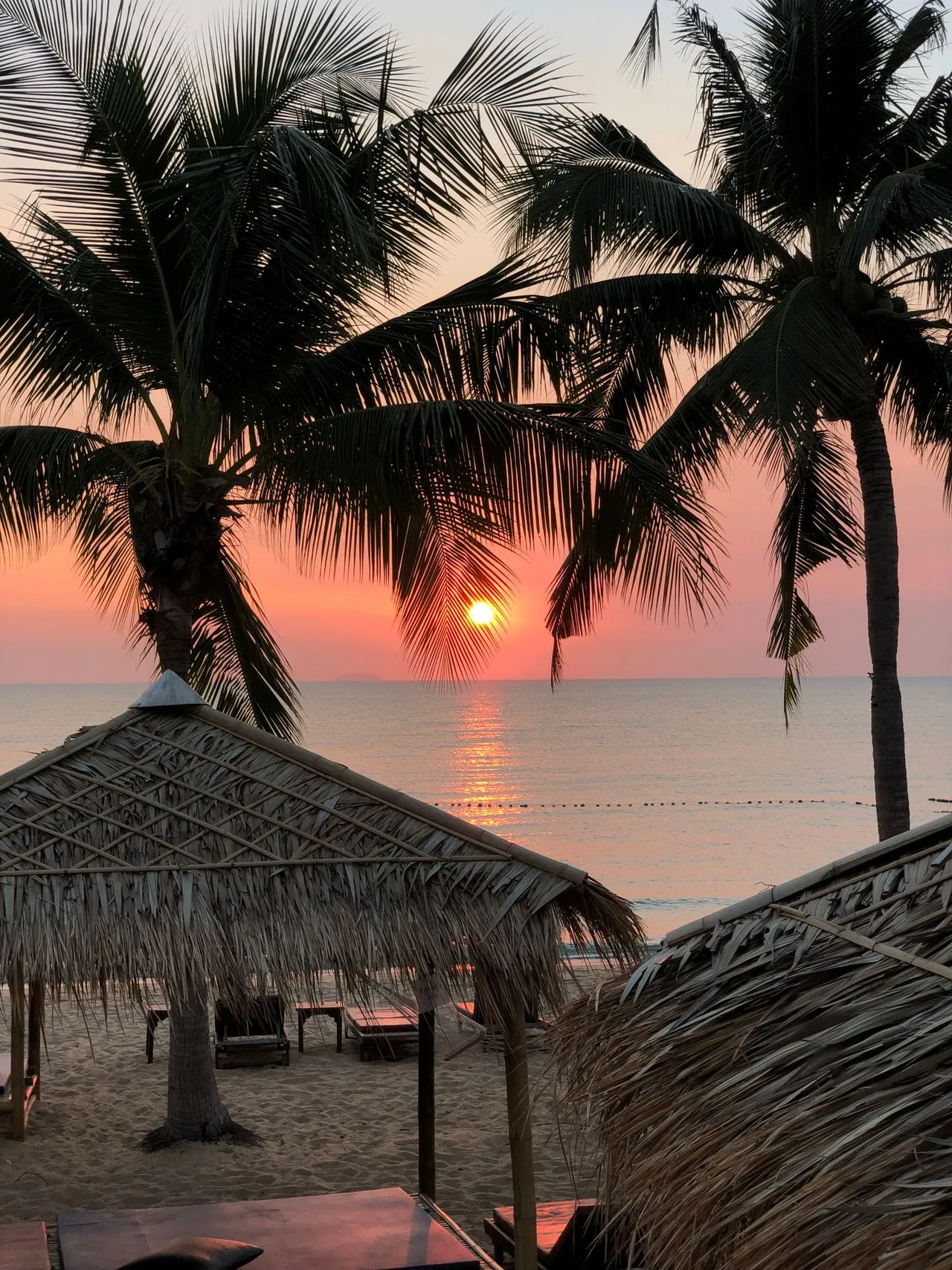 Phi Phi Island Tour