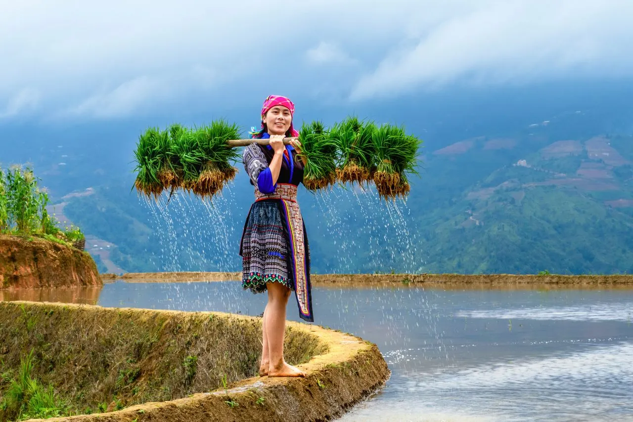 Hanoi to Da Nang