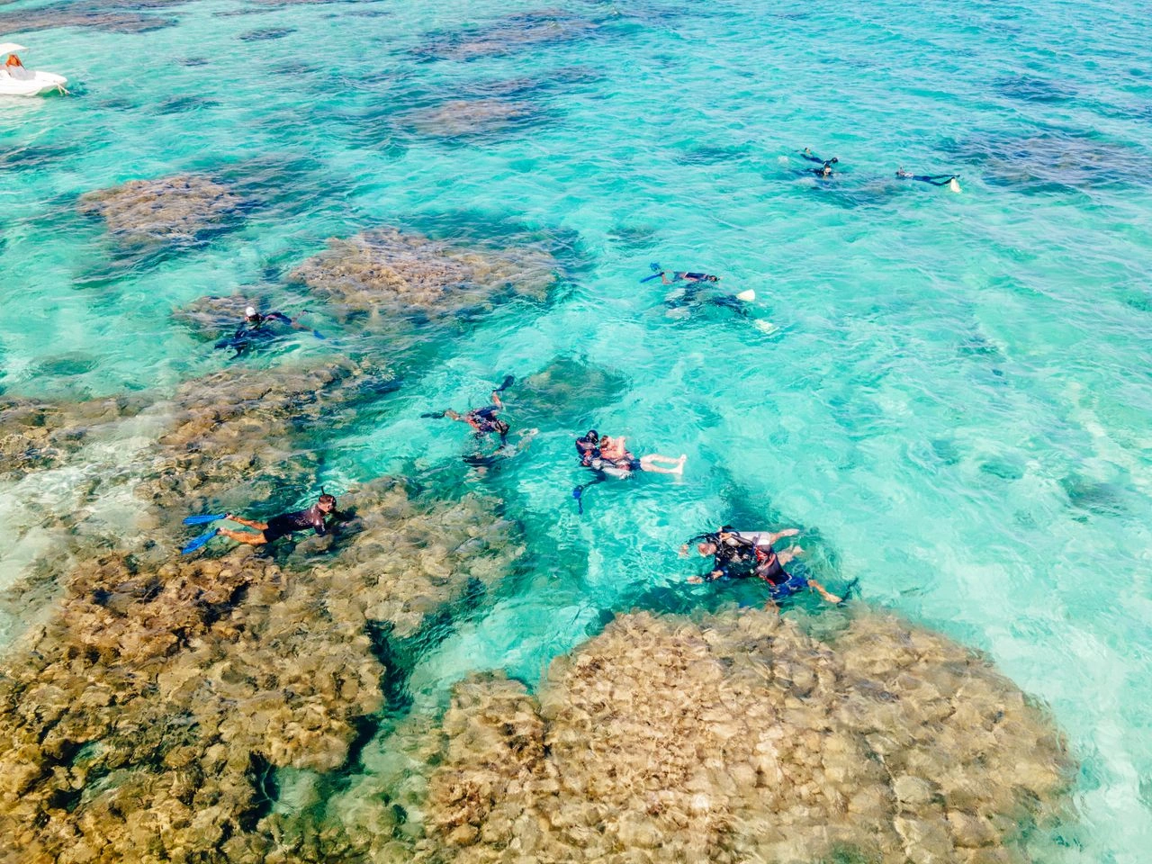 Phi Phi Island Tour