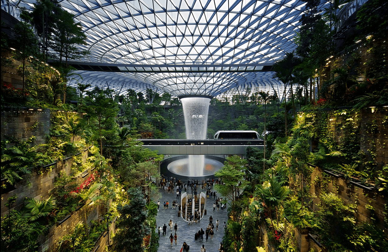 Arrival in Singapore - Check-in