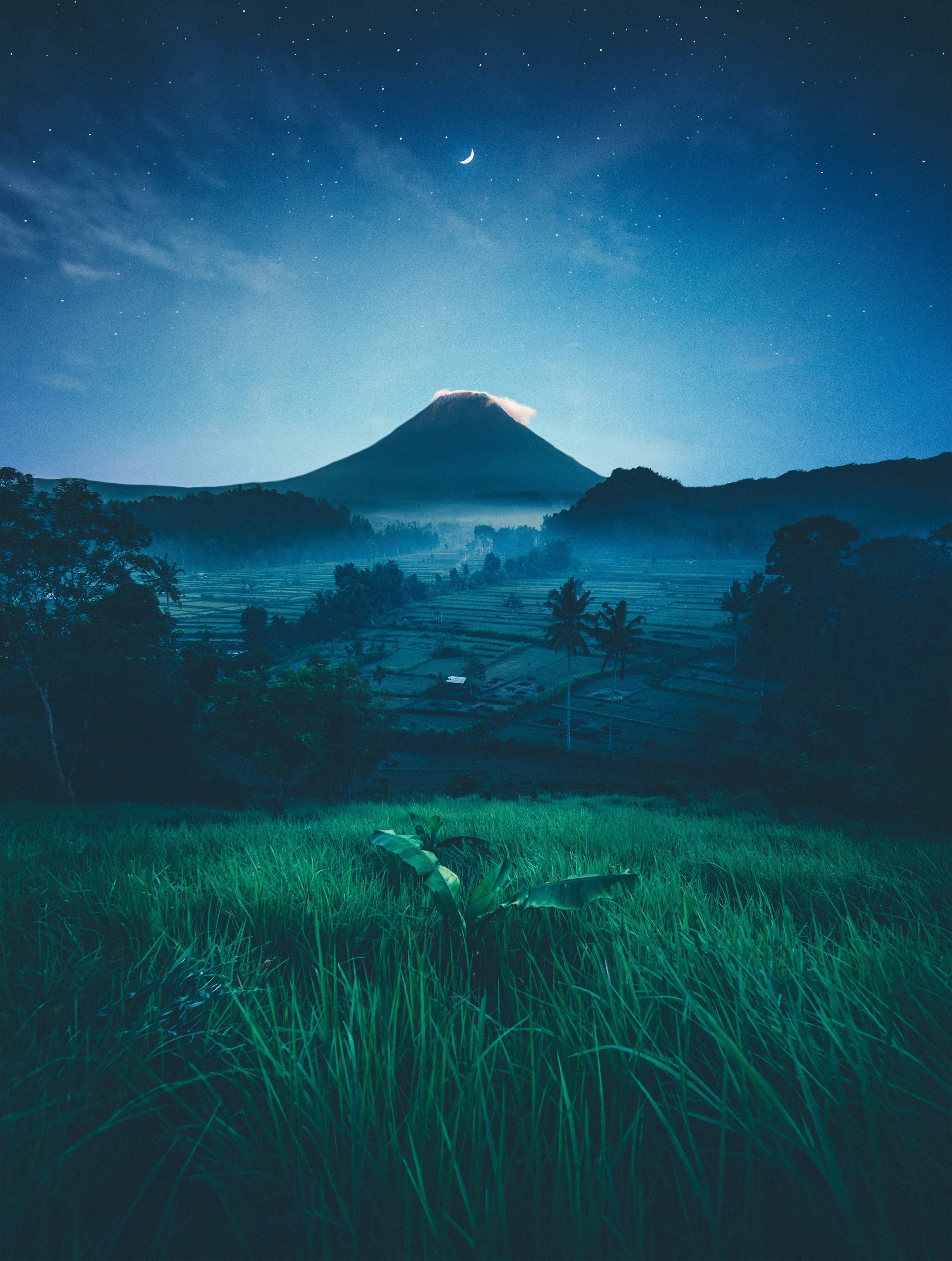 Ubud Culture & Rice Terraces