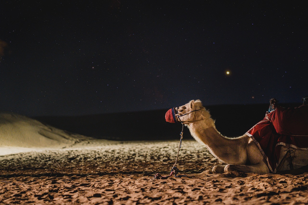 Dubai with Indian Meals 5 Nights 6 Days